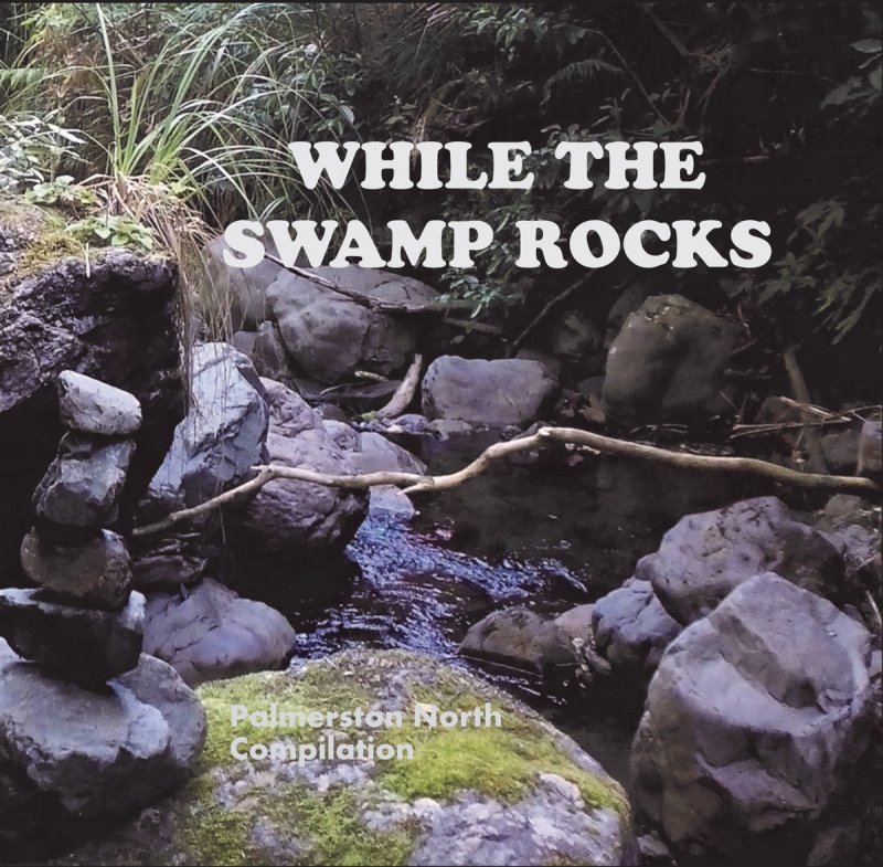 Music Various While The Swamp Rocks NZ Musician