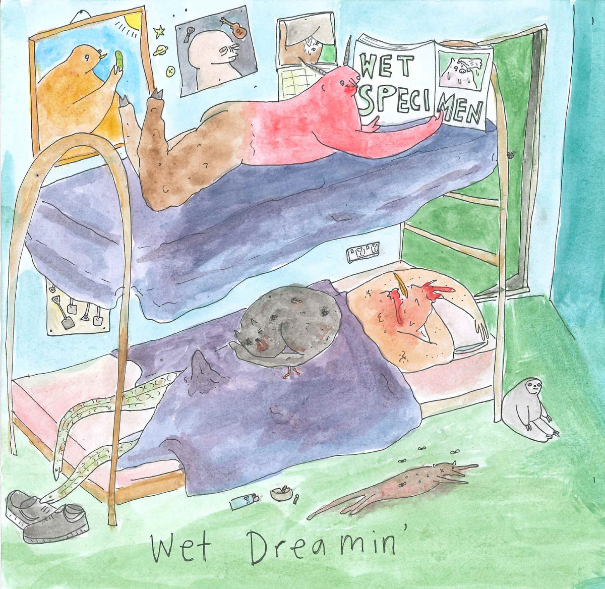 Music Wet Specimen Wet Dreamin' NZ Musician